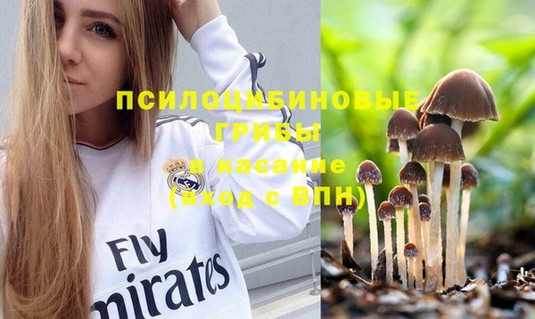 спиды Данков