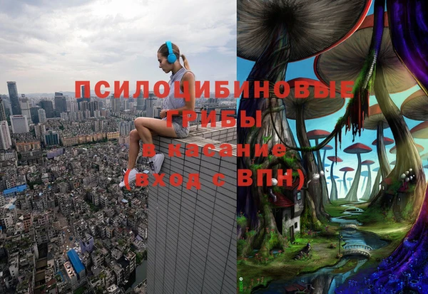 ECSTASY Няндома