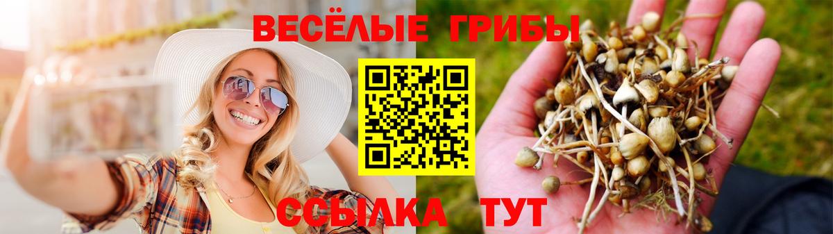 Галлюциногенные грибы MAGIC MUSHROOMS  Галлюциногенные грибы прущие грибы  Стрежевой  Вход с VPN 
